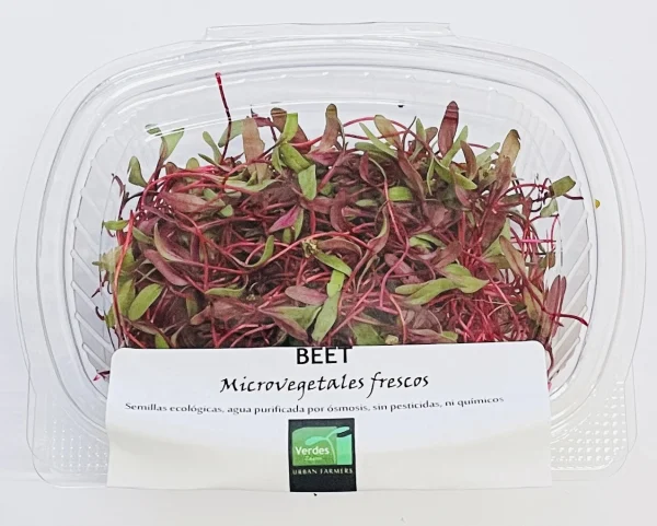 Microgreens Verdes Zagros