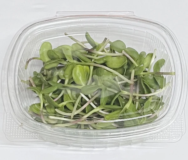 Microgreens Alicante