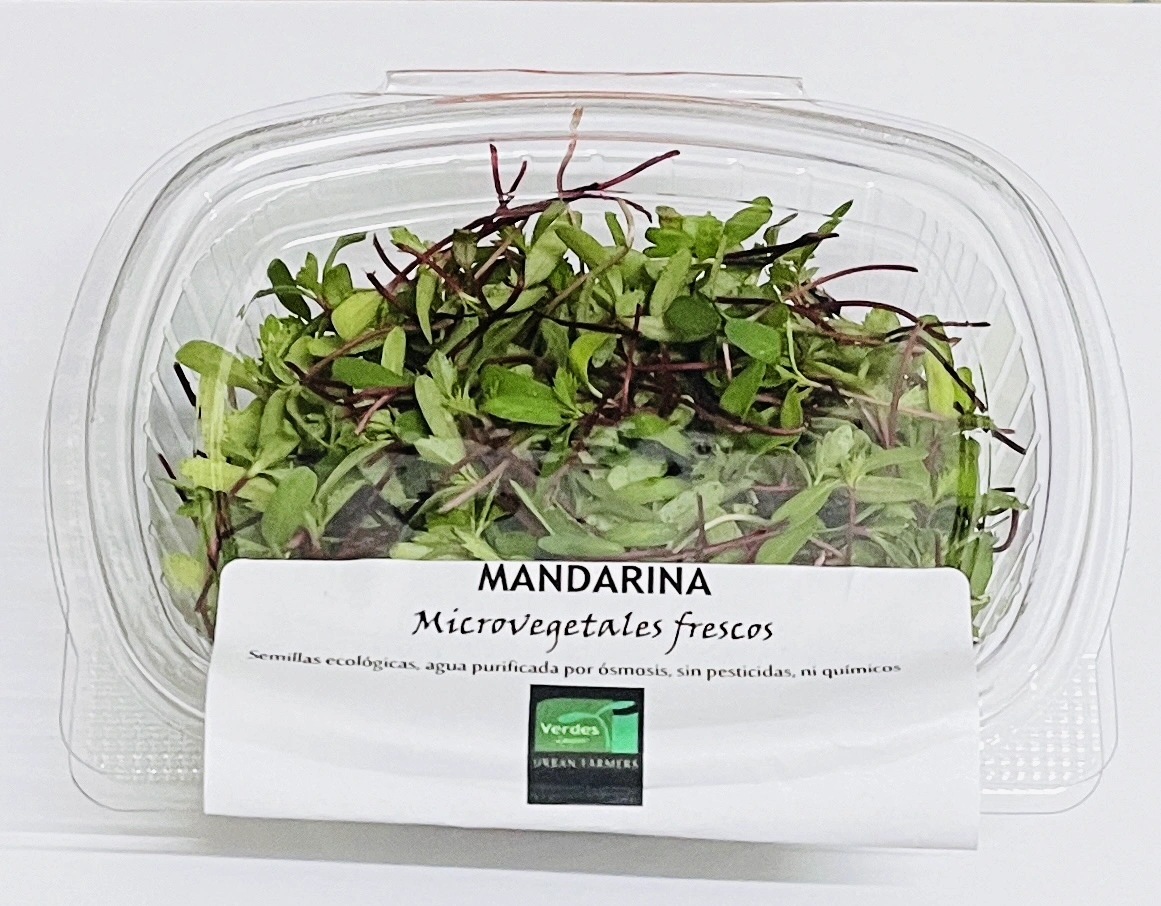 Microgreen mandarina ecológica Agricultura ecológica Alicante
