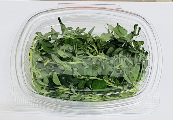 Microgreens Verdes Zagros