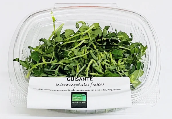 Microgreens Verdes Zagros