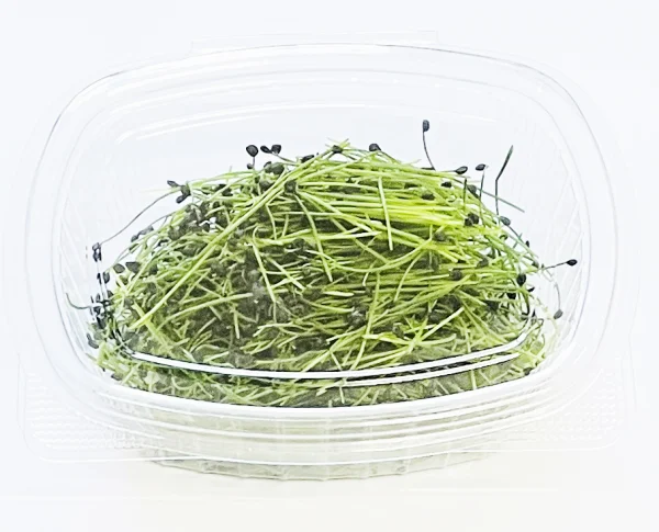 Microgreens Verdes Zagros
