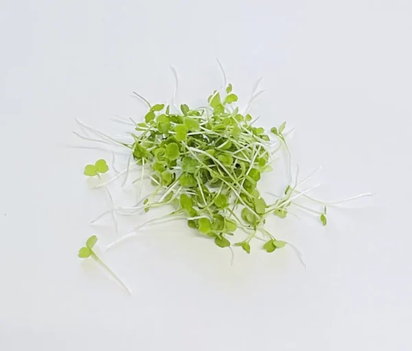 Agricultura ecologica