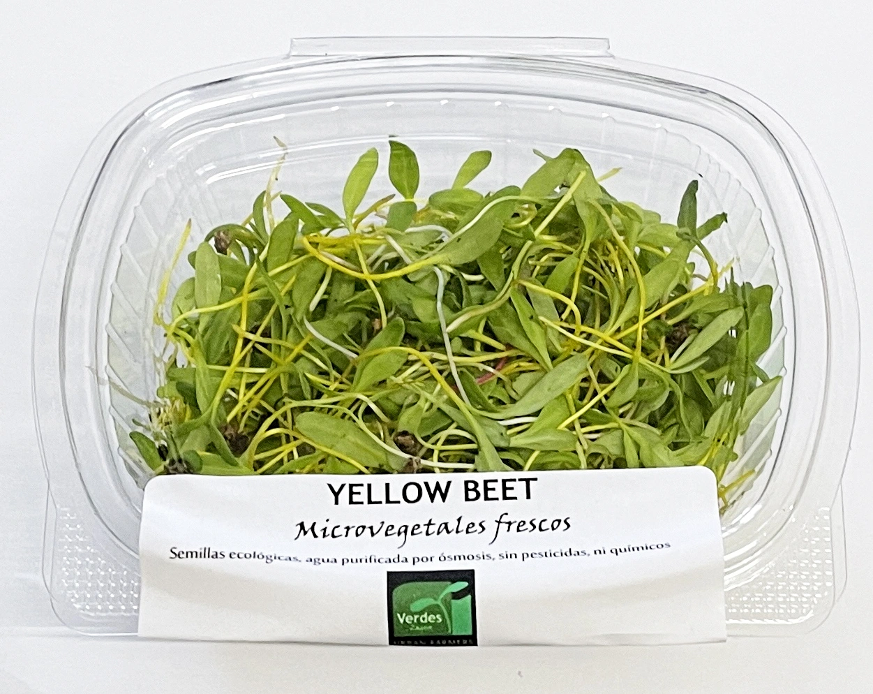 Yellow Beet Verdes Zagros Microgreens Verdes Zagros